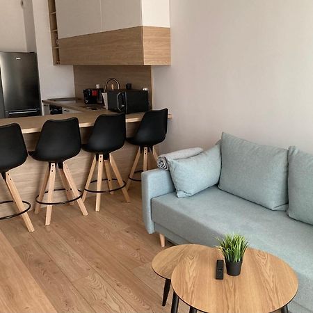 Rakowicka Modern Apartment Краків Екстер'єр фото